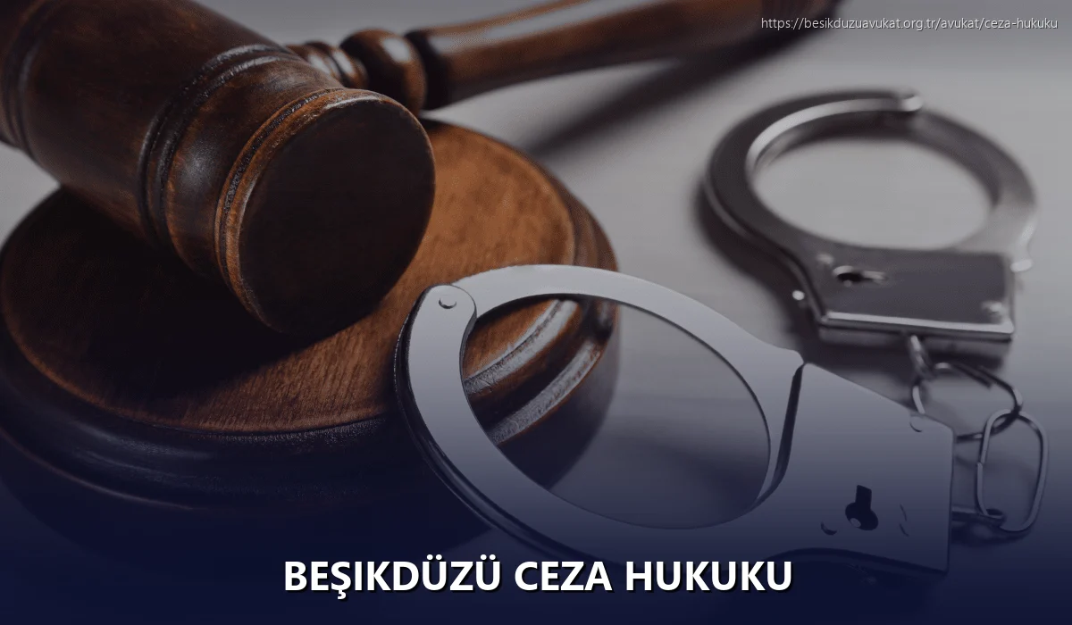 Beşikdüzü Ceza Hukuku
